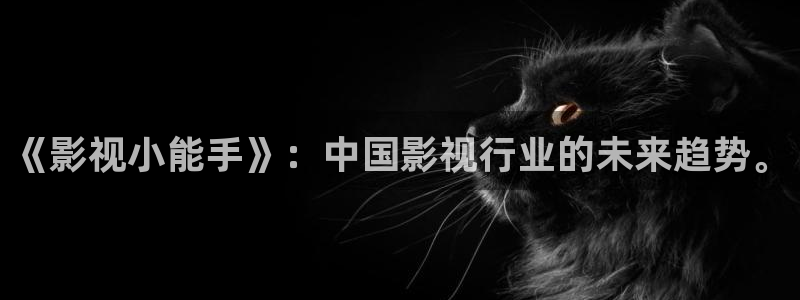 我是刑警不卡影院