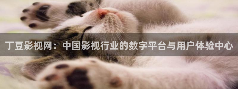 不卡影院一二三区