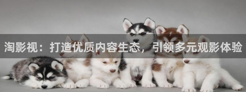 欧日韩不卡影院