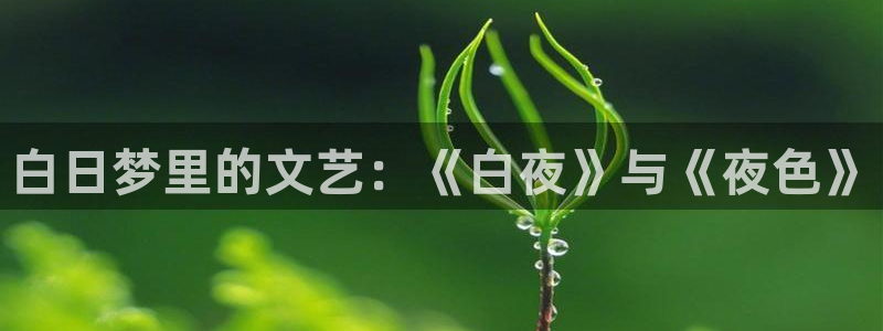 神马我不卡影院手机在线观看