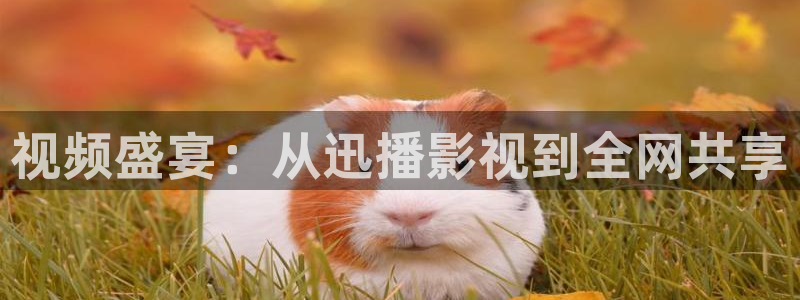 神马我不卡影院在线